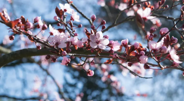 'Invernico' derruba temperaturas no Centro-Sul nesta quinta