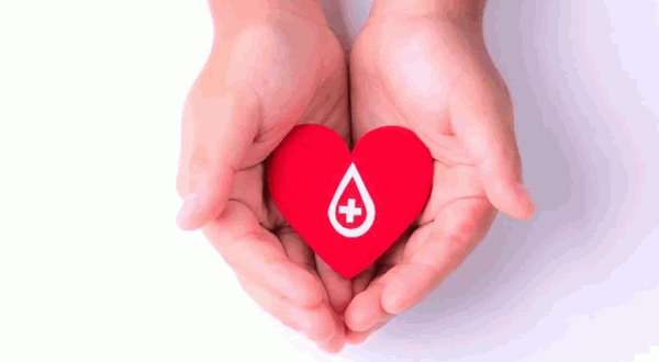 Dia Nacional do Doador de Sangue: HEMOSC celebra a data reforçando a urgência da doação regular em SC