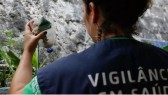 Brasil bate recorde de mortes por dengue em 2023, diz Senan Online