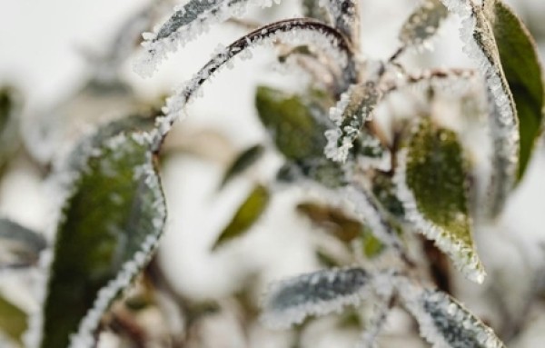 Queda brusca nas temperaturas e frio intenso devem marcar a próxima semana em SC