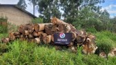 Madeira nativa e serraria móvel são apreendidas durante patrulhamento ambiental