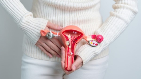 Câncer de colo do útero é o 4º tumor mais incidente em mulheres de SC