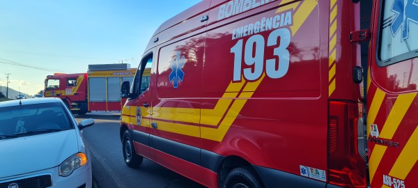 Homem morre após ataque de abelhas