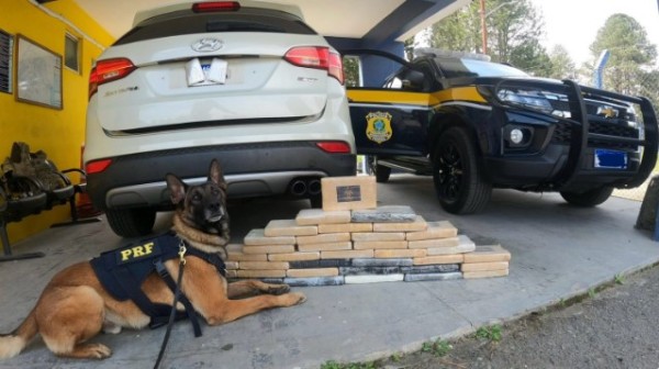 PRF apreende 54,9 kg de cocaína escondidos em veículo