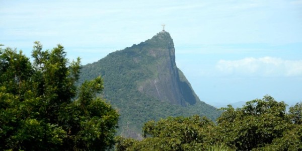 Desmatamento na Mata Atlântica cai 59% no acumulado do ano até agosto, aponta pesquisa