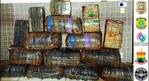 Operação entre PRF, PM, PMRv, PC e SAER apreendem 500 kg. de maconha