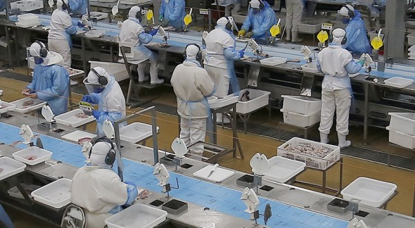 Paraná começa a semana com 25,8 mil vagas de emprego