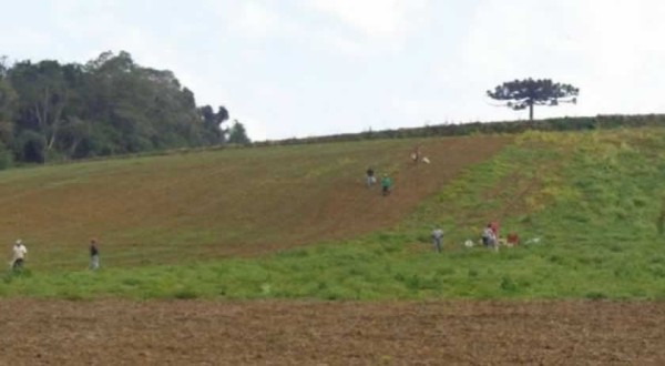 Trabalhadores são encontrados em plantação de cebola  sem salário e comida