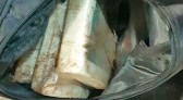 Adolescente é apreendida com quase dois milhões em cocaína