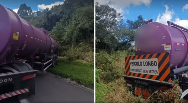 Caminhoneiro é atacado por abelhas, passa mal e sofre acidente na PR-151