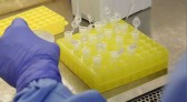 SC confirma 13 novos casos da variante Ômicron; veja números por cidade