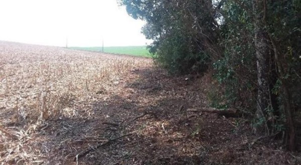 Corpo de mulher é encontrado no interior de município do Oeste de SC