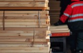 Santa Catarina passa a ser líder nacional em exportações do setor de madeira em 2024