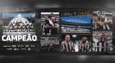 Após vencer o Brasil de Pelotas, Botafogo conquista o Campeonato Brasileiro Série B