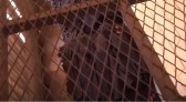Grupo que usou de violência e ameaças à família para roubar é condenado a penas de até 41 anos de prisão