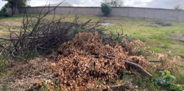 Homem de 37 anos é encontrado morto em terreno