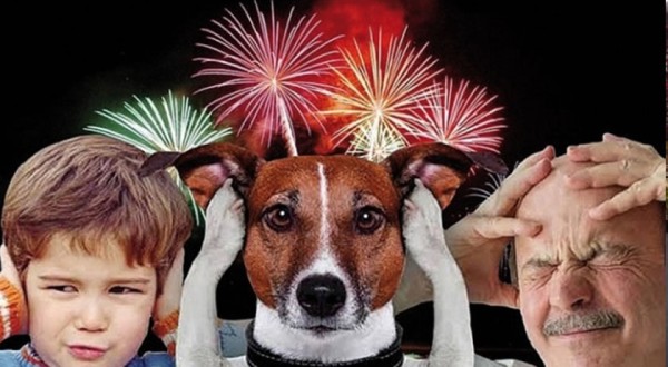 SC proíbe venda de fogos com estampido e dá 180 dias para comércio se adequar