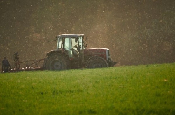 Embrapa orienta produtores do Sul a reduzir impactos do El Niño nas lavouras