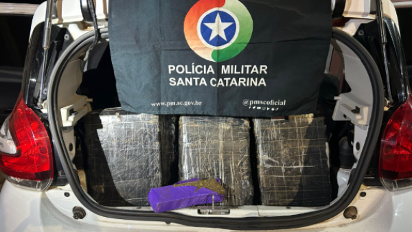 Polícia Militar apreende 308 kg de maconha e prende suspeitos por tráfico e furto de veículo