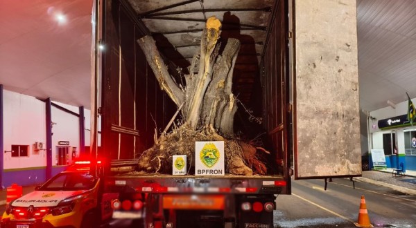 Carreta com árvores de oliveira avaliadas em R$ 1,1 milhão é apreendida na fronteira entre Brasil e Argentina