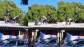 Policiais e suspeito caem de telhado durante perseguição após confronto