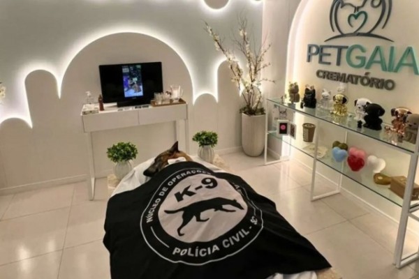 'Parceiro de alma’: cão policial tem despedida em crematório após 10 anos de serviço em SC