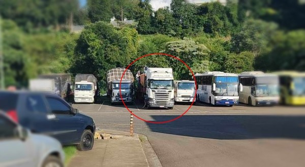 Caminhão com mais de 27 toneladas de alho é apreendido pela Polícia Federal