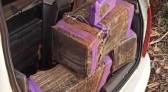 Polícia apreende mais de 100 kg de maconha em carro de candidato a vereador