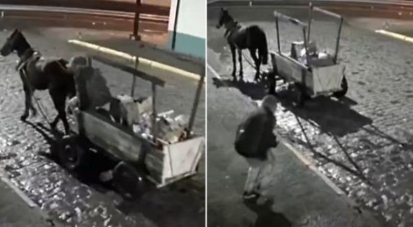 Carroceiro do crime: ladrão faz limpa em garagem com carroça e cavalo em Lages