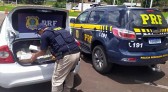 PRF apreende 127 kg de maconha na BR 282