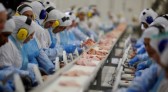Enquanto exportações de carne bovina crescem 33%, China reduz pela metade compras de proteína suína