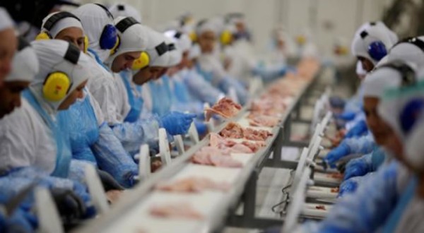 Enquanto exportações de carne bovina crescem 33%, China reduz pela metade compras de proteína suína