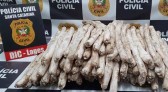 Polícia prende homem com 100 kg de explosivos que seriam usados para atacar presídio