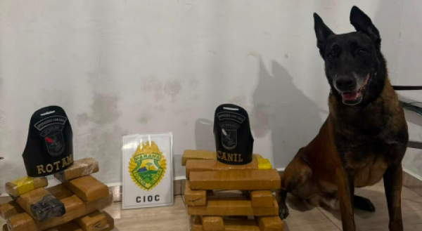 PMPR apreende mais de 730 quilos de drogas e 92 celulares em ações com cães policiais