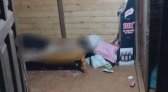 Homem é morto a tiros no Bairro Santa Rita