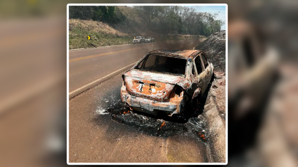 Fogo toma conta de veículo e se espalha pela vegetação na BR-282