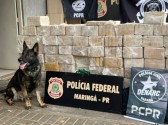 Polícia Federal em ação conjunta, apreende mais de 400 kg de cocaína