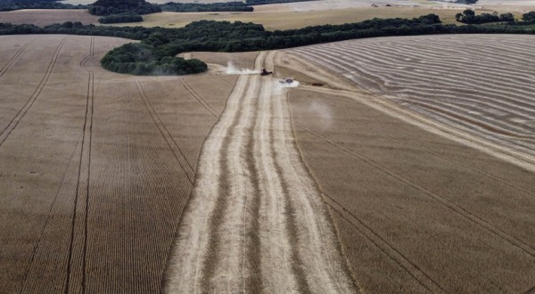 Com nove a mais, Paraná chega a 34 cidades com VBP Agropecuária acima de R$ 1 bilhão