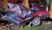 Motorista morre ao sair da pista e colidir veículo em árvore no Norte de SC