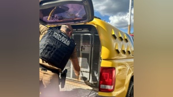 Polícia Militar prende foragido condenado por furto