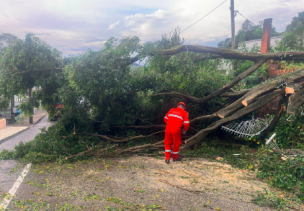 Temporal provoca destelhamentos e queda de árvores em Concórdia