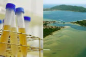 Água da Lagoa da Conceição, em Florianópolis, tem um dos maiores níveis de cocaína já registrados no mundo