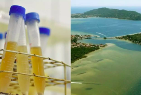 Água da Lagoa da Conceição, em Florianópolis, tem um dos maiores níveis de cocaína já registrados no mundo