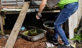 Secretaria da Saúde confirma mais três óbitos por dengue no Paraná