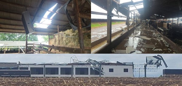Temporal causa danos e alerta para mais chuvas em todo o Paraná