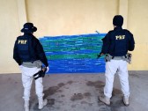 Carro roubado é flagrado com 240kg de maconha na BR-282