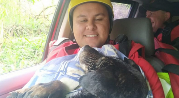 Após sufoco na beira de rio, cachorro é resgatado pelos bombeiros em SC e busca um lar
