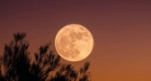 "Lua cheia do veado" poderá ser vista nesta quinta (10) em todo o Brasil; saiba como