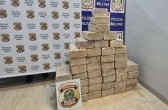 Avião com 424 kg de cocaína avaliada em R$ 200 milhões cai em fazenda no Pará