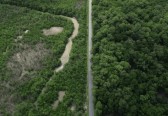 Desmatamento fez Brasil perder, em 40 anos, área natural maior que extensão da Bolívia, revela MapBiomas